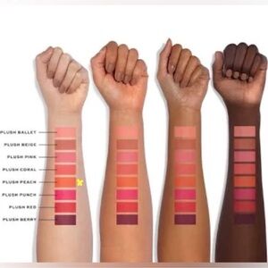 Jaclyn Cosmetics Plush Brush Blurring Cheek Tint: Shade Plush Peach 🌷🍑